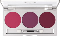 Eye Shadow Trio Set